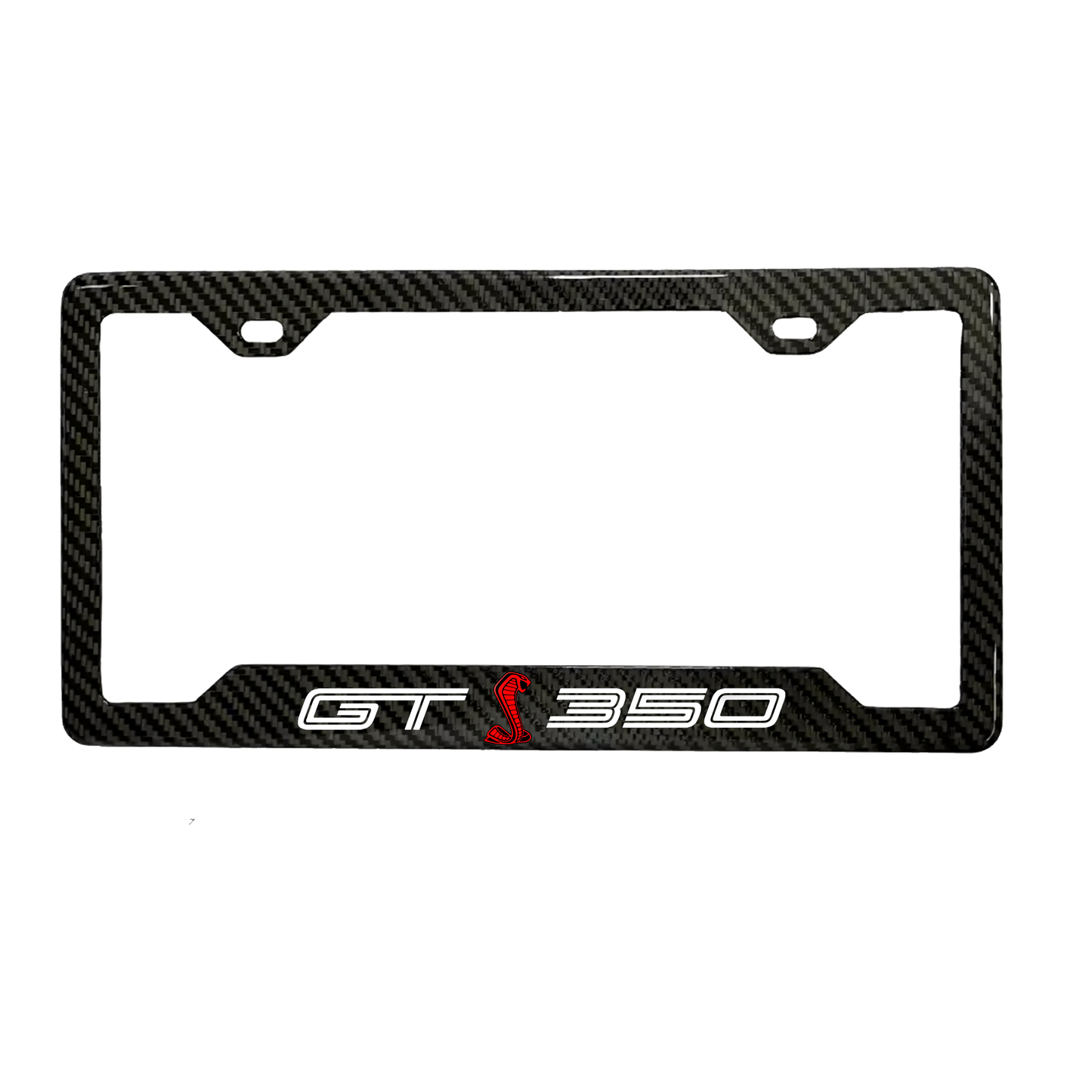 GT350 Carbon Fiber Plate Frame